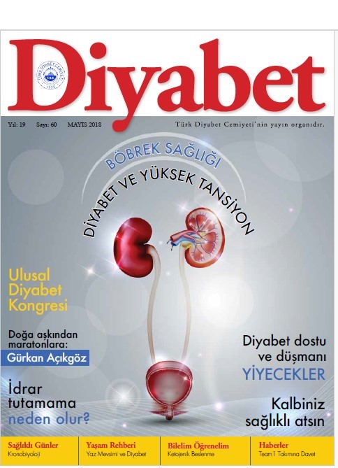 Sayı 60