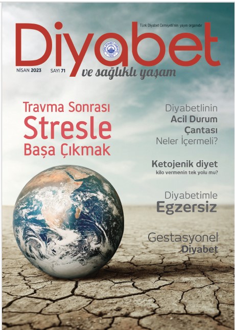 Sayı 71